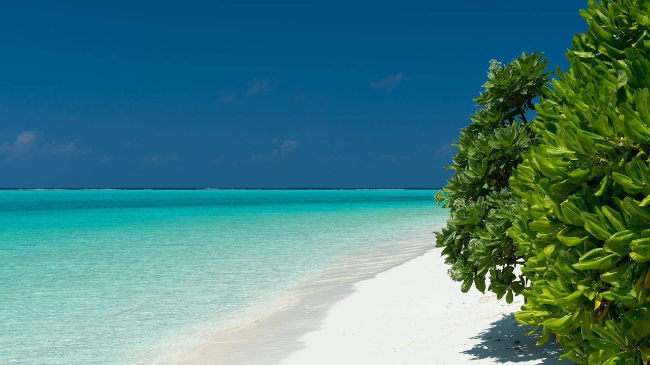 Thoddoo Beach Holiday Eksteriør billede