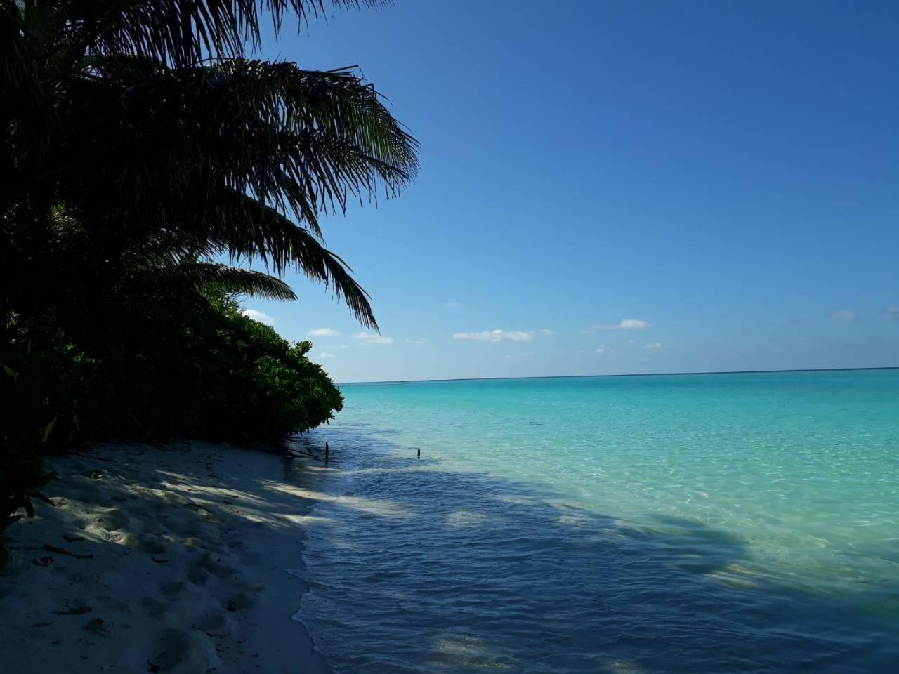 Thoddoo Beach Holiday Eksteriør billede